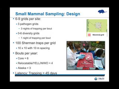Sara Paull, NEON Small Mammals, Ticks, Mosquitoes, and Pathogens