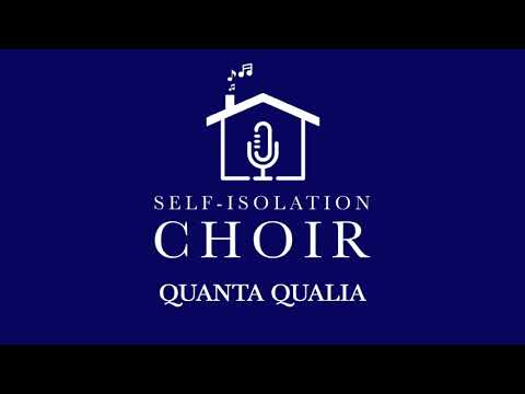 Quanta Qualia -  The Self-Isolation Choir as heard on "Desert Island Discs" with Dame Louise Casey