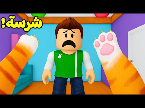 روبلوكس ولكن سلم قطة ليوم كامل لعبة roblox !! 😹🐈