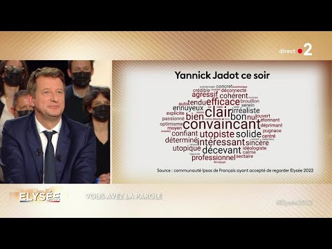 YANNICK JADOT l'invité politique de France 2