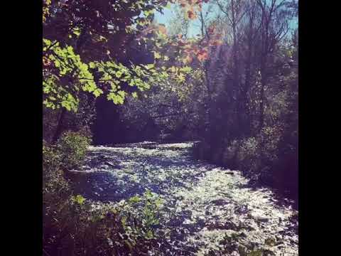A gorgeous little vid of the river from the trail