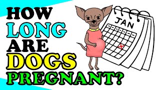 How Long Are Dogs Pregnant Before They Give Birth ?