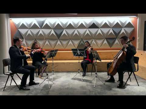 I Don’t Want to Miss a Thing | Prima-Streichquartett Cover