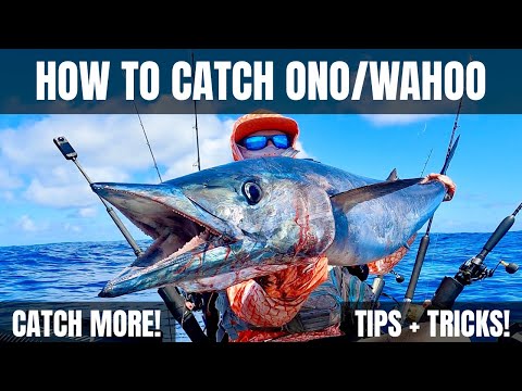 How To Catch Ono / Wahoo From A Kayak | Jigging | Live Bait | Tackle Tips | Hawaii Kayak Fishing