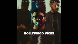 Hollywood Vices Music Video