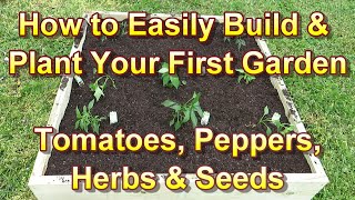 How to Easily Build & Plant Your First Vegetable Garden: All the Basics - Tomatoes, Peppers & Herbs