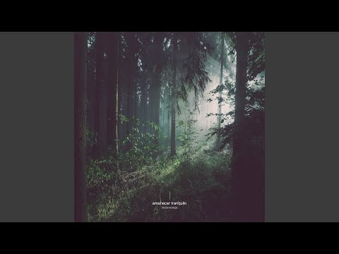 Tides - Manana tranquila