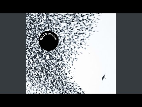 Hate It Here - Wilco