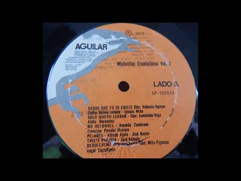 DEVUELVEME MIS CARTAS.- PASILLO.- DUO MITE FIGUEROA VERSION ORIGINAL (www.discosfenix.com)