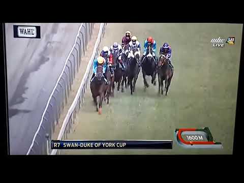 BLACK CAT BACK with G.D.AUCHARAZ  winning the Duke of York CUP 2020(coupe d'or)