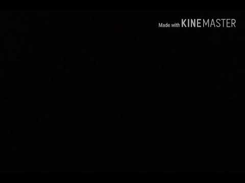 HaPpY BiRtHdAy THALAIVA