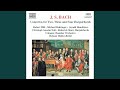 Concerto for 2 Keyboards in C Minor, BWV 1060: I. Allegro