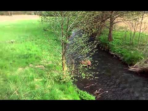 Wittstock an der Dosse