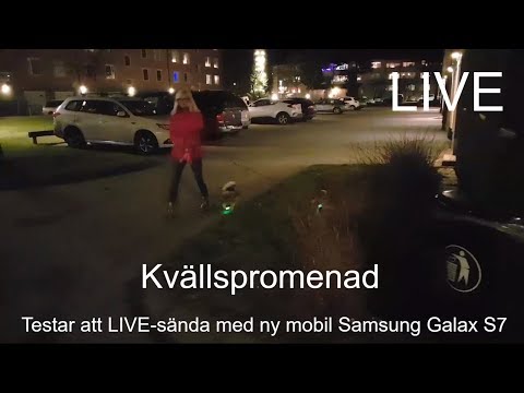 2017-12-10 På kvällspromenad med hundarna och test av ny mobilkamera [LIVE]