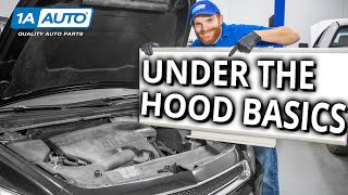 Under the Hood Basics! Learn About the Stuff Under Your Car