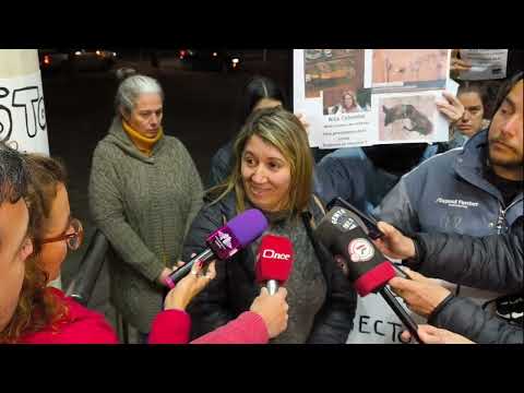 Movilización frente a la Junta de Maldonado por presuntos casos de maltrato animal