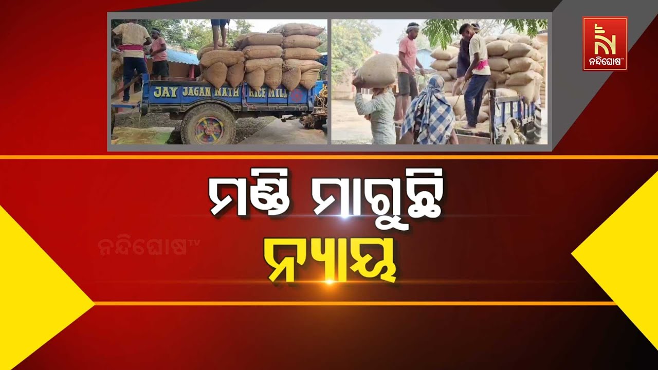 🔴 Live | ମଣ୍ଡି ମାଗୁଛି ନ୍ୟାୟ