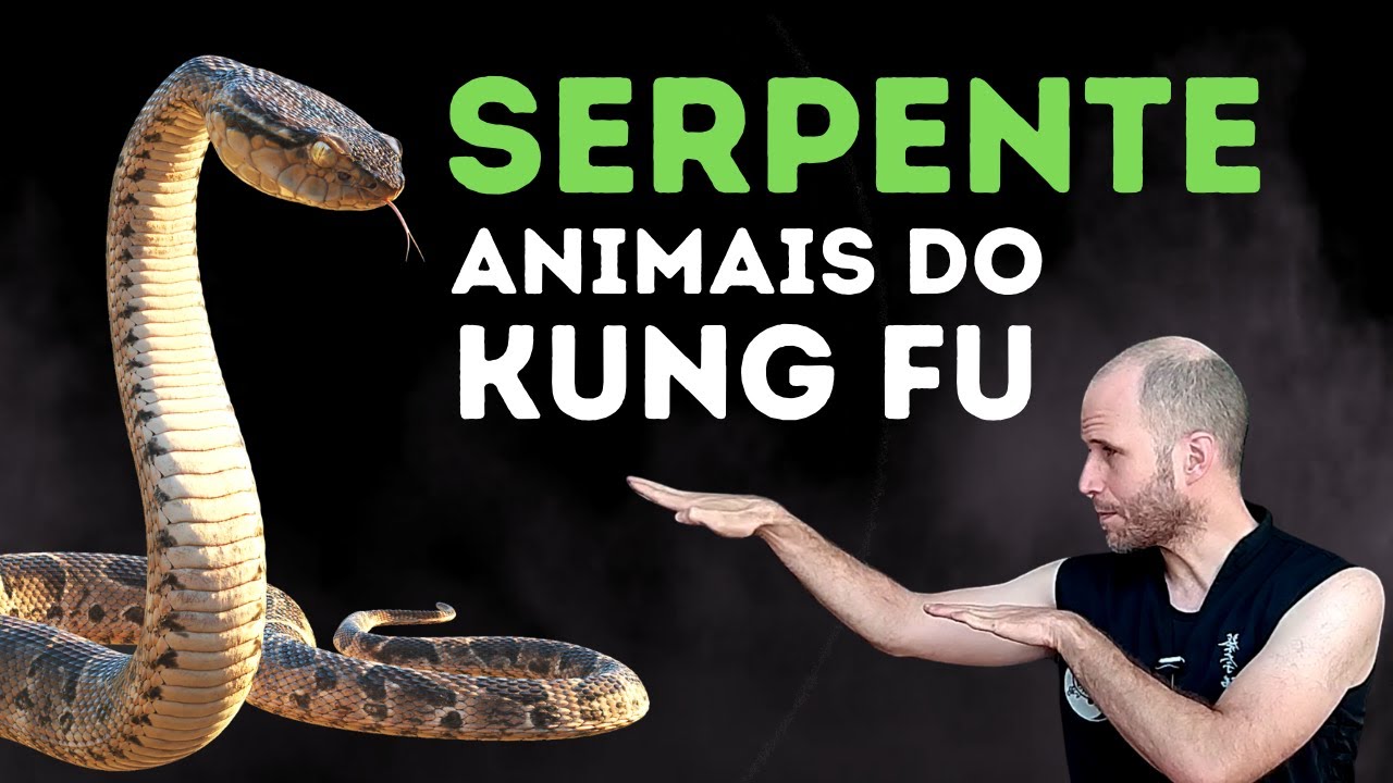 Animais do Kung Fu: Serpente