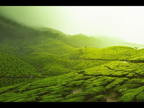 #ridhu @ridhikshadharmalingam Pasangal Nesangal Ethumae indri - Yaaru Enna Sonnalum