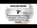 Shoulder mount tips, tricks, & training steps to get there - Pole Dancing Tutorials by ElizabethBfit