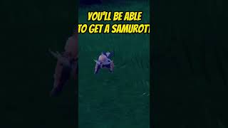 SAMUROTT is Coming to Pokémon Scarlet and Violet!