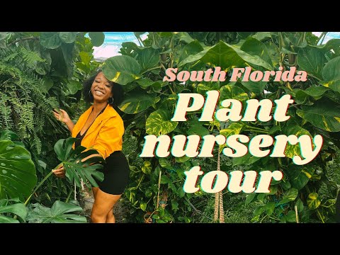Plant nursery tour | 📍 Georgie‘s paradise South Florida | Mother Natures Niece #plantnursey