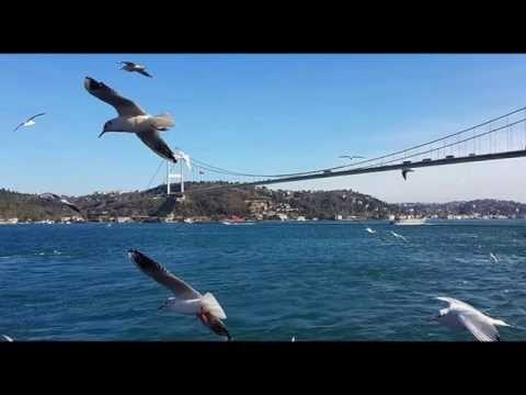 Fidush Aliu - Esselatu Weselam