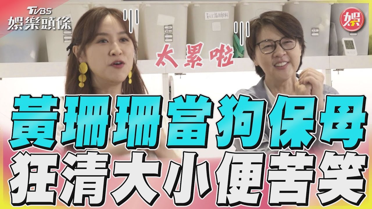 影音／黃珊珊第一次幫毛孩刷牙就成功　下秒陷入「狗大便地獄」只能苦笑