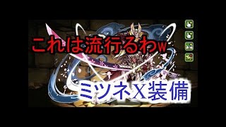【パズドラ】ハンター♂ミツネ ソロでも火力十分