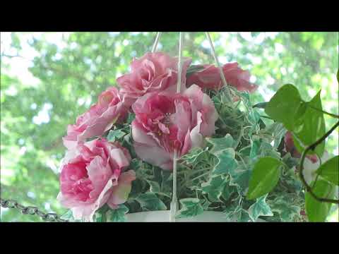 Armi Aavikko ja Aikamiehet - Muistojen ruusut..🌹🎵