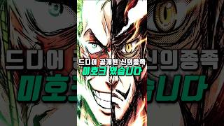 [ 원피스1181화 ] 드디어 이무와 미호크의 관계가 밝혀졌습니다