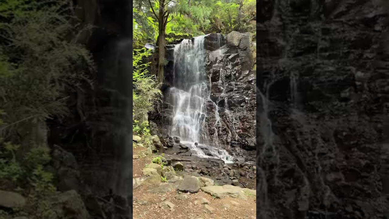 YouTube Short thumbnail