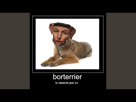 BORterrier (Lubin Diss 2)