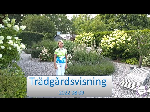 , title : 'Trädgårdsvisning augusti 2022. Rundtur i min trädgård. Trädgårdsdesign med inspiration. Garden tour.'