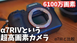 【新年早々α7RⅣを手に入れたぞ！せや、レビューだ！】ミラーレス一眼。世界最強フルサイズ6100万画素です。