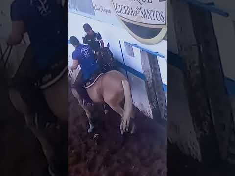 vaquejada parque Cícero dos Santos _ paulista _ PB e inscrever