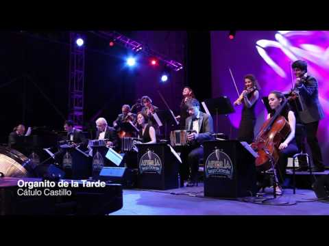 Organito de la Tarde