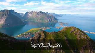 تلاوة من سورة فصلت من المصحف المرتل بصوت الشيخ د. محمد حسان image