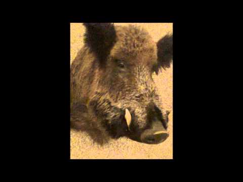 Floorfilla & Mario Bischin   Macarena Haus 'Booty' Mix