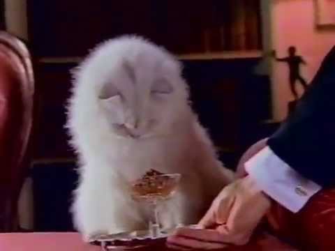 Fancy Feast commercial 1985