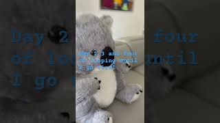 Download lagu Day 12 and three until I go viral mp3 Download lagu Day 12 and three until I go viral mp3