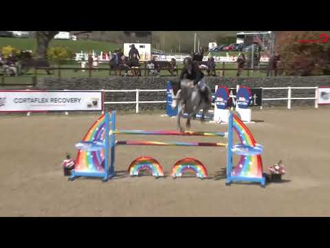 Bolesworth A-List Auction 2023 - Lot 15 : Limelight - Show Round