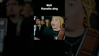 Download lagu Wali - Kumaha Aing mp3