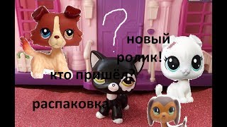 Lps:Распокавка пета. Кто же пришёл?