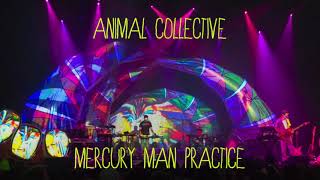 Animal Collective - Mercury Man (Practice)