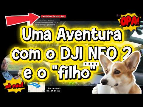 Meu cachorro virou copiloto nas filmagens com drone