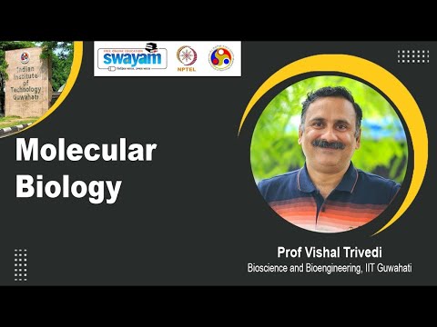 Molecular Biology Introduction Video