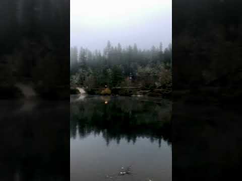 Rogue River in the early AM