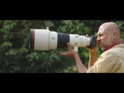 Discover Wildlife with Sony Alpha | Sudhir Shivaram