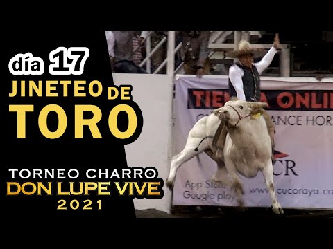 BULL RIDING day 17 - Don Lupe Vive Tournament 2021